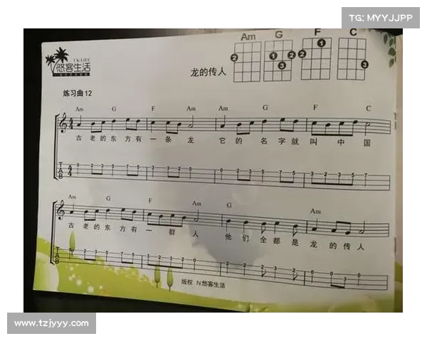 《龙的传人技能加点实用技巧与优化策略全解析》