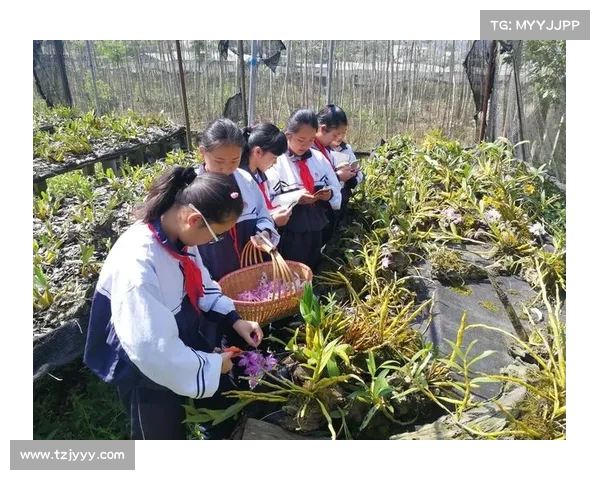 卷帘绿魔养护全指南 生态习性与生长奥秘深入解析