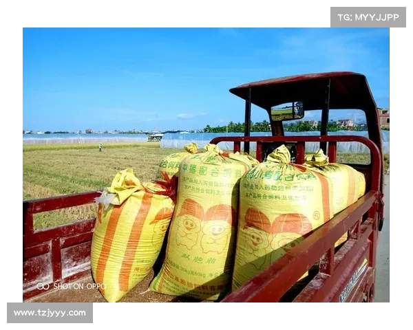 巴萨队徽焕新启示录从设计初心到时代变迁的传承之路