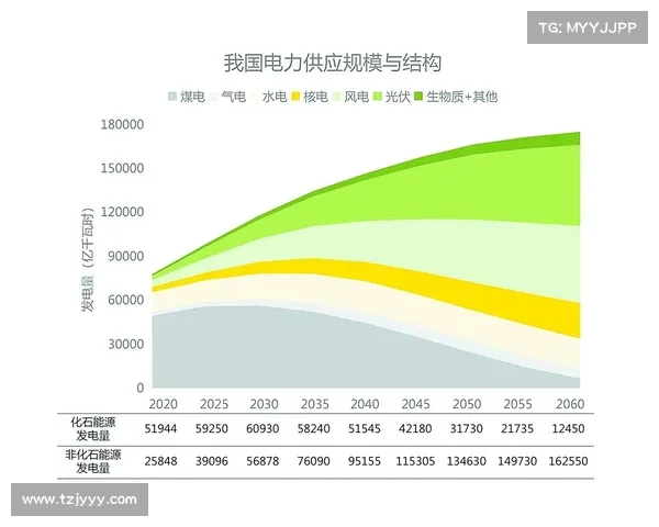洛塞尔索技术特点评估与未来发展路径全方位系统综合深度实用指南