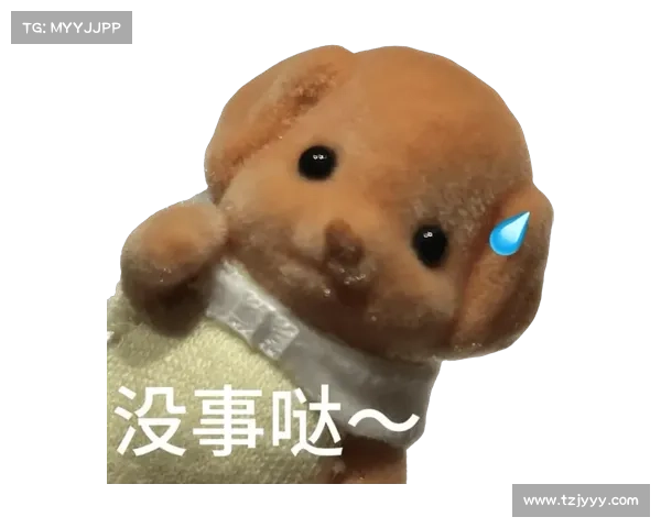 探秘森贝儿系列11-11表情包的神秘背后